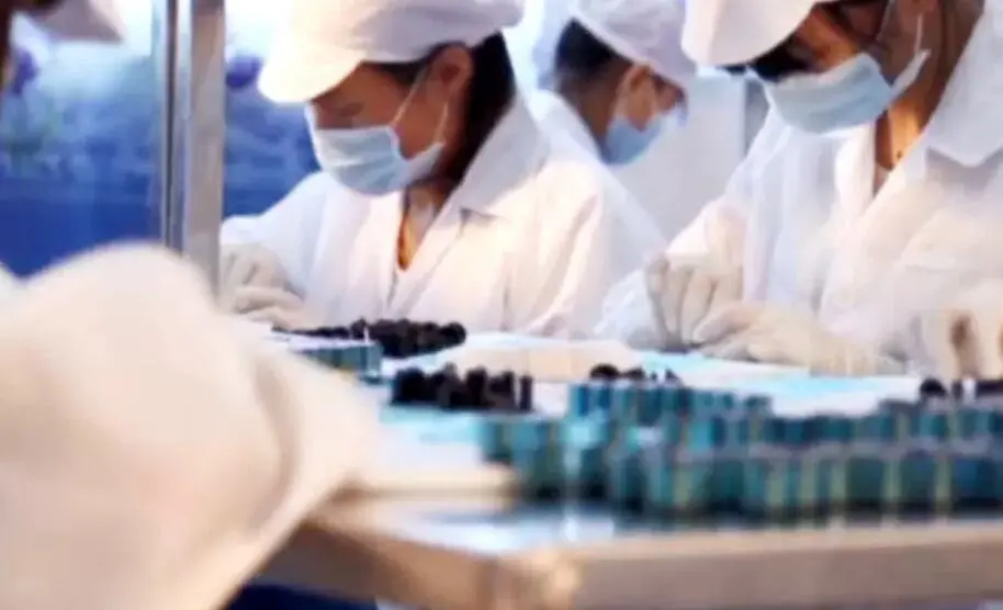 tips for building a sustainable derma roller production line